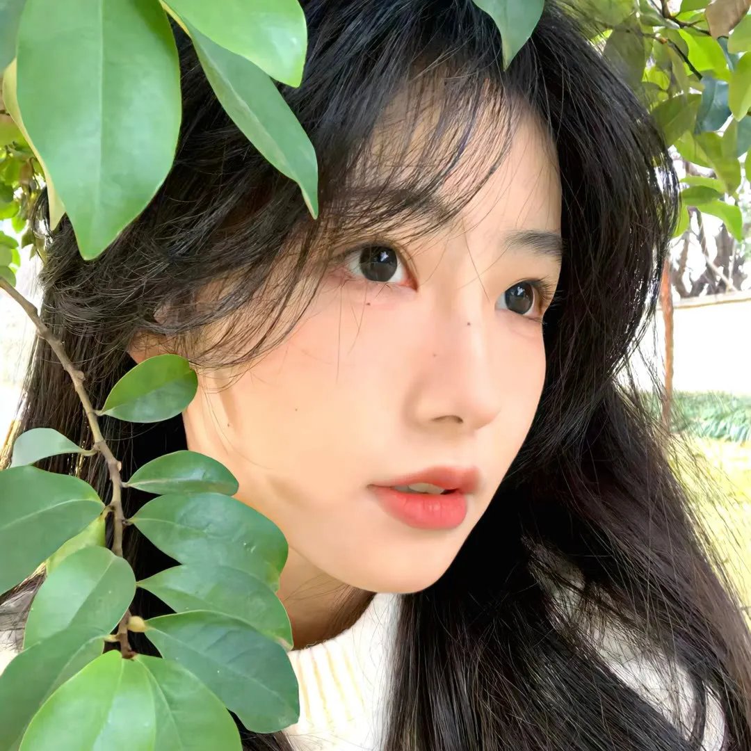 哦,我的宠妃大人2023